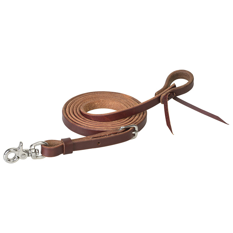 Reins
