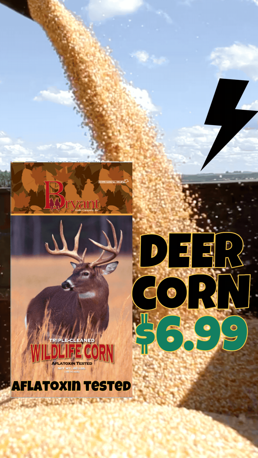 corn